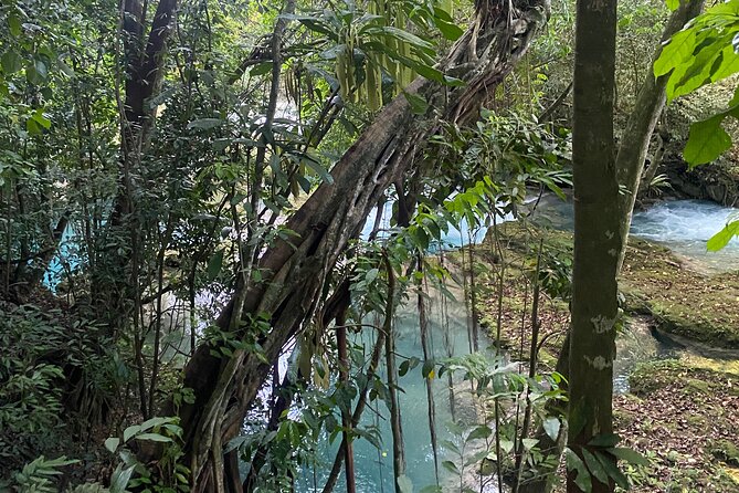 Private Horseback Riding with Blue Hole River Tour in Montego Bay - Horseback riding beside Discovery Bay