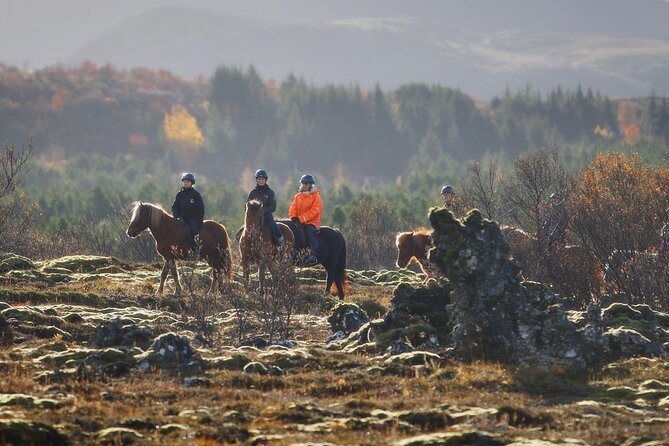 Private Icelandic Horseback Ride: Matched to Skill Level - Key points at a glance