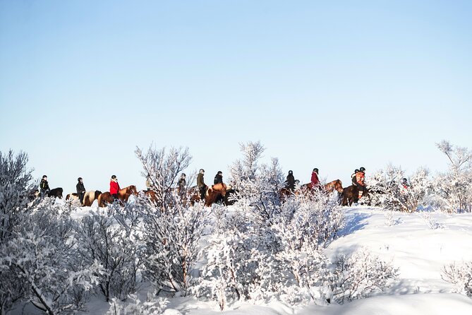 Private Icelandic Horseback Ride: Matched to Skill Level - Why this private ride is different