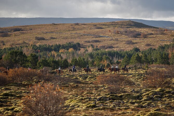 Private Icelandic Horseback Ride: Matched to Skill Level - What the private format means for your group