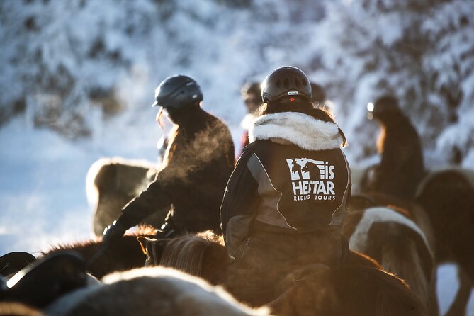 Private Icelandic Horseback Ride: Matched to Skill Level - Equipment, drinks, and the practical side
