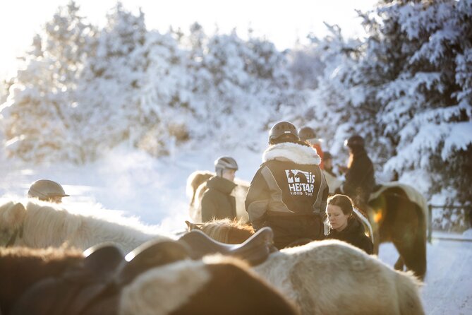 Private Icelandic Horseback Ride: Matched to Skill Level - Is $210.51 fair for 50 minutes?