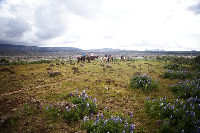 Private Icelandic Horseback Ride: Matched to Skill Level - Timing, weather, and cancellation