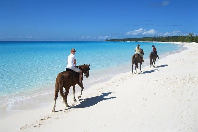 Private Macao Beach horseback riding in punta cana and Bayahibe - Key points to know before booking