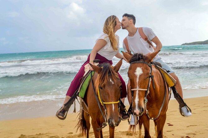 Private Macao Beach horseback riding in punta cana and Bayahibe - Meeting the horses and getting matched