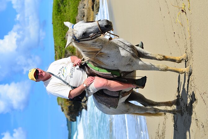 Private Macao Beach horseback riding in punta cana and Bayahibe - Is $55 a fair price?