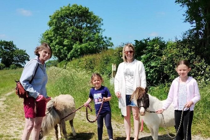 Private Miniature Horse Walking near Lincoln - Key points before you book