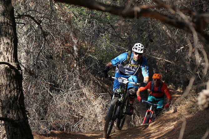 Private Mountain Bike,Trail Ride Tour of Mount Ymittos, Athens. - Price, transport, and what you get for $66.08