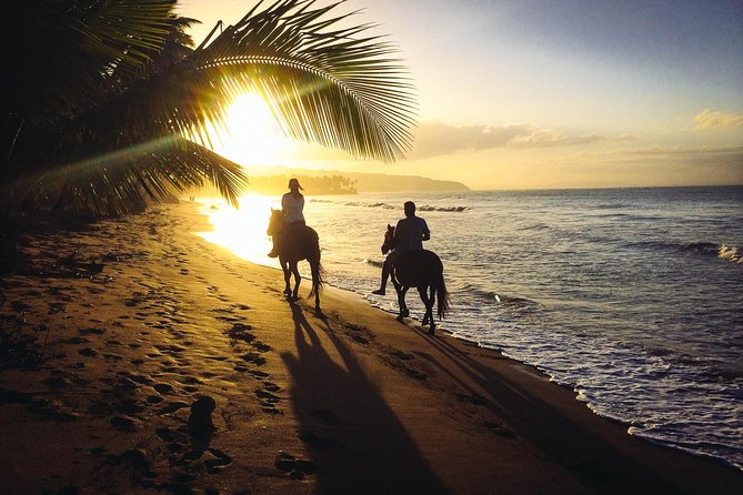 Private Sunset Horseback Riding in punta cana beach - Key things to know before you saddle up