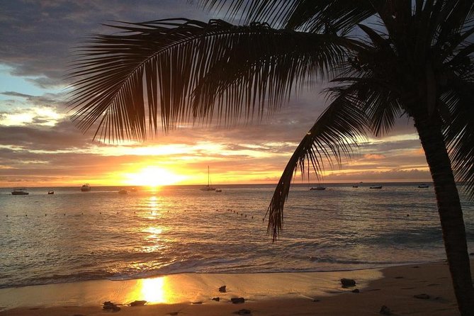 Private Sunset Horseback Riding in punta cana beach - Meeting the horses and getting ready