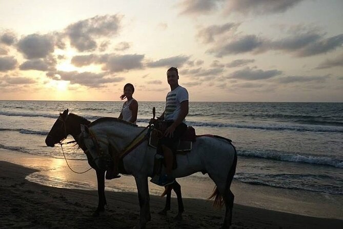 Private Sunset Horseback Riding in punta cana beach - Booking, weather, and timing advice