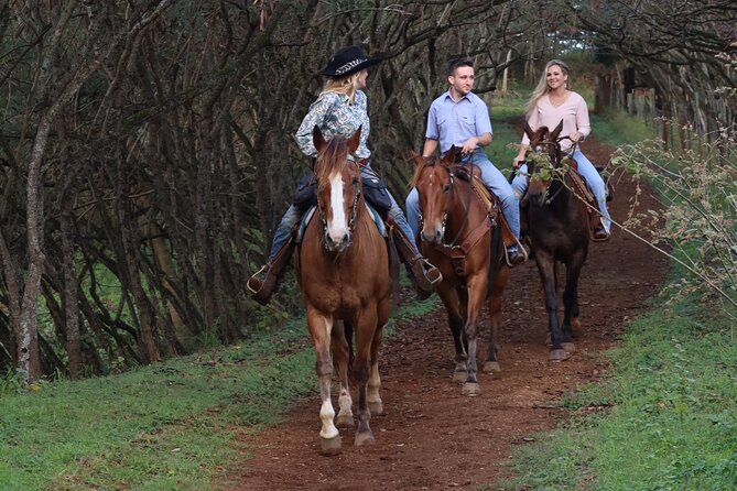 Private Sweetheart Horseback Ride - How the $223 Price Measures Up