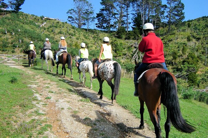 Private Tour - Horse Riding, Wine Tasting and Art Trail - Who should book this experience?
