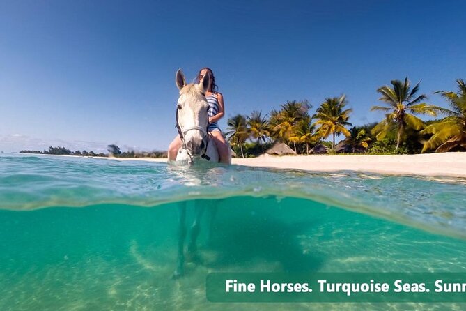 Private Tour Horseback Riding from Ocho Rios or Runaway Bay - Ocho Rios from 750 feet above sea level