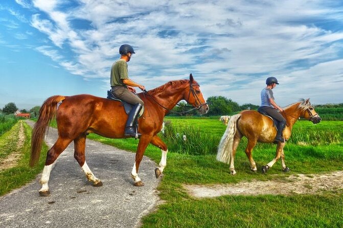 Private Tour Horseback Riding from Ocho Rios or Runaway Bay - What the private format really adds