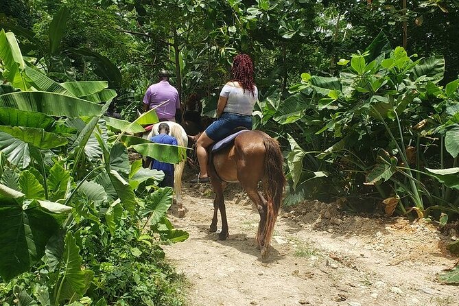 Private Tour to Dunns River and Horseback Riding with Local Guide - Dunns River Falls brings the day to life