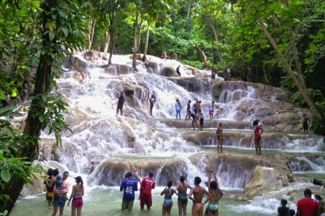 Private Tour to Dunns River and Horseback Riding with Local Guide - Green and Carado add a local touch