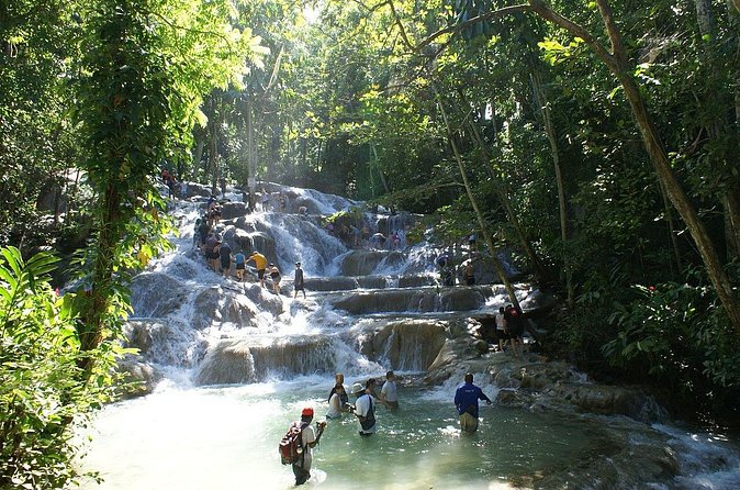 Private Tour to Dunns River and Horseback Riding with Local Guide - Why private transport matters in Montego Bay