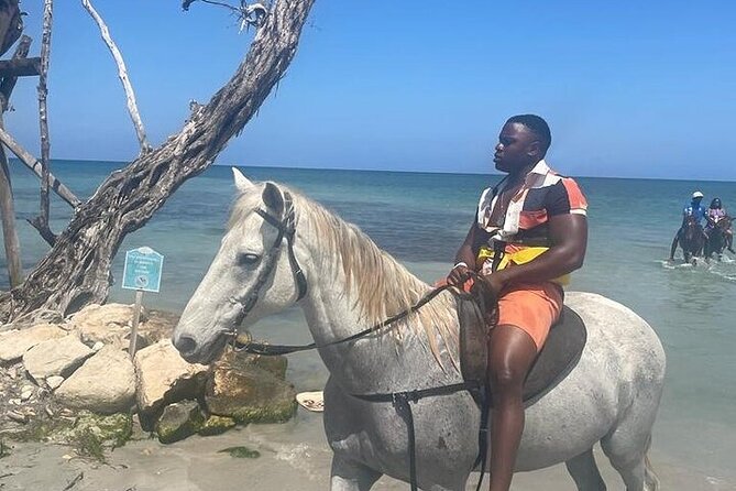 Private Tour to Dunns River and Horseback Riding with Local Guide - Food, drinks, and small stops along the way
