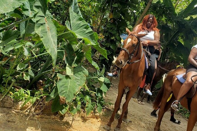 Private Tour to Dunns River and Horseback Riding with Local Guide - The six-hour schedule and daily timing
