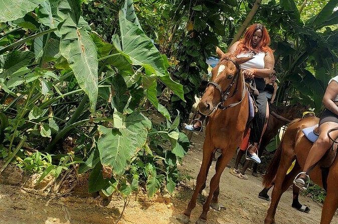 Private Tour to Dunns River and Horseback Riding with Local Guide - What the $115 price really covers