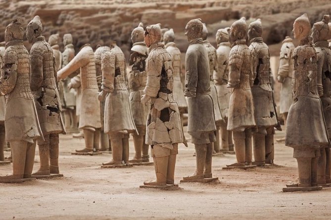 Private Xian Day Tour: Terracotta Warriors, Big Wild Goose Pagoda - Private Transport and the Value of the $127 Price