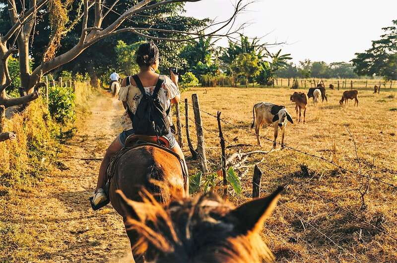 Puerto Escondido: Sunset Horse Back Riding Tour - The boat ride with horses swimming beside you