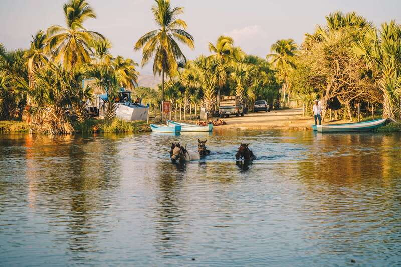 Puerto Escondido: Sunset Horse Back Riding Tour - Riding back under the moon and stars