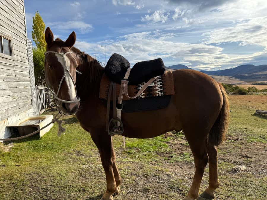 Puerto Natales: Full Day Horse Riding to the Mountains - Starting at Holaste Specialty Coffee