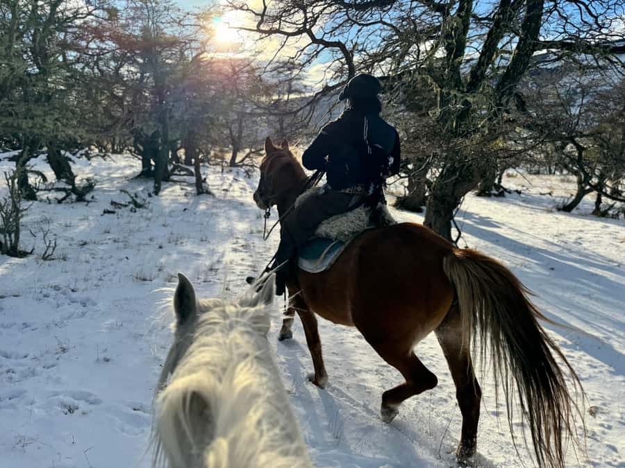 Puerto Natales: Full Day Horse Riding to the Mountains - Horse riding through forests, lakes, and rivers