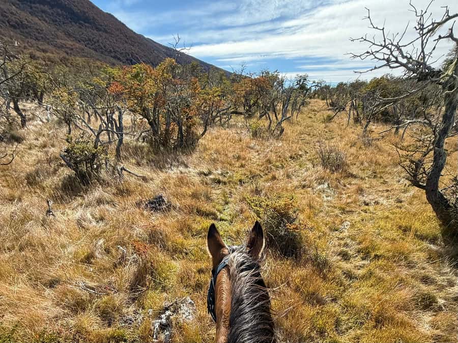 Puerto Natales: Full Day Horse Riding to the Mountains - The mountain viewpoint and Paine Massif