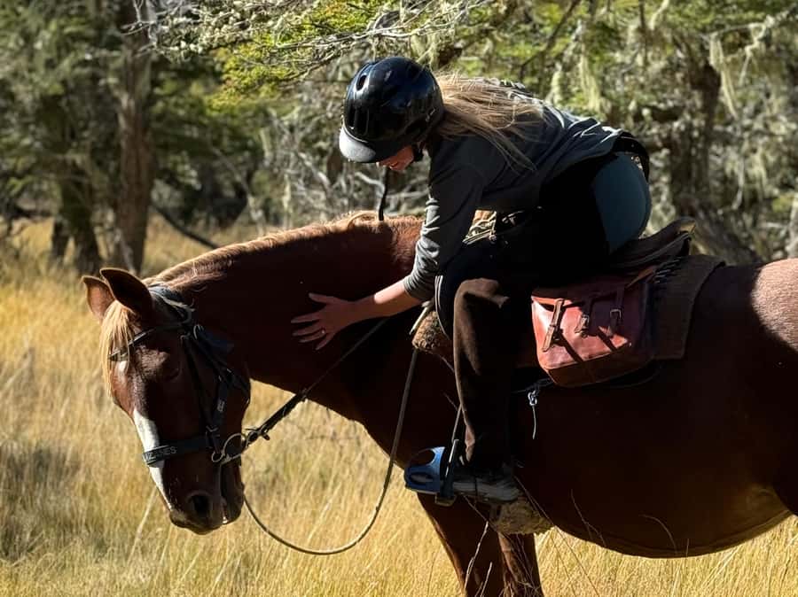 Puerto Natales: Full Day Horse Riding to the Mountains - Coffee, tea, and the trip back