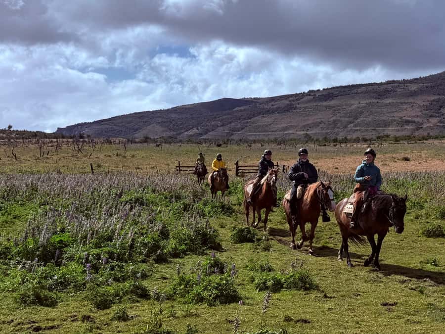 Puerto Natales: Full Day Horse Riding to the Mountains - The first hour and a half: safety, breathing, and horse choice