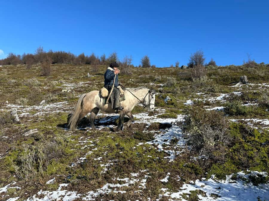 Puerto Natales: Horseback Riding to Dorotea Fjord Lookout - Key points at a glance