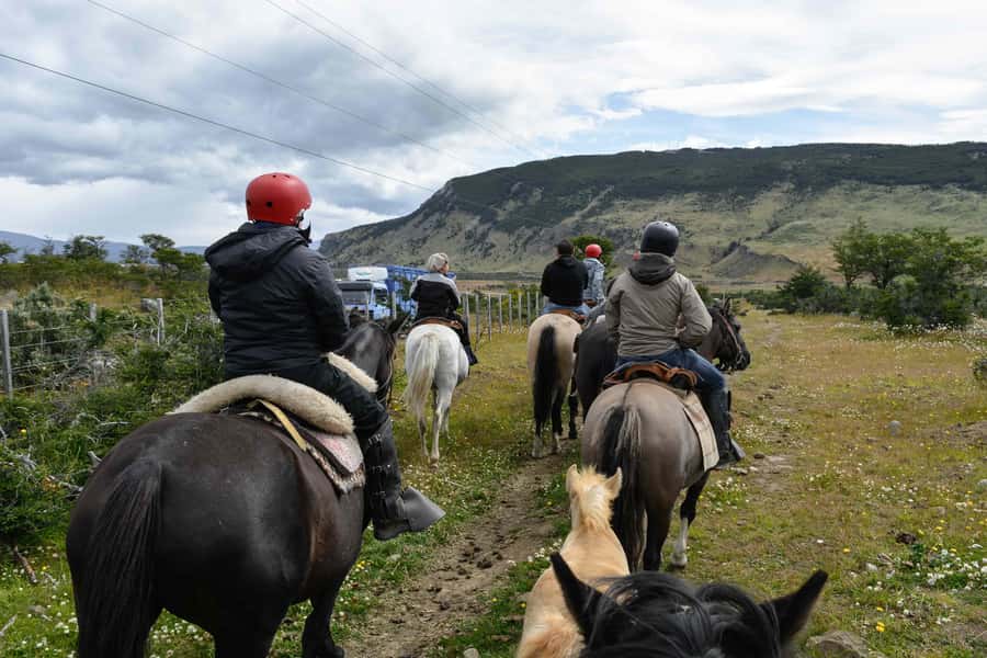 Puerto Natales: Horseback Riding to Dorotea Fjord Lookout - Why Cerro Dorotea makes a good half-day outing