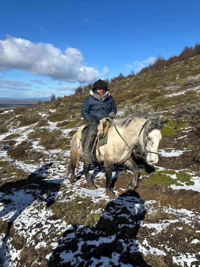 Puerto Natales: Horseback Riding to Dorotea Fjord Lookout - The border setting at Cerro Dorotea