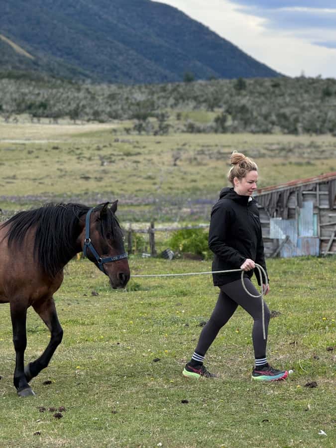 Puerto Natales: Horseback Riding with Horse Connection - Is the $150 price good value?