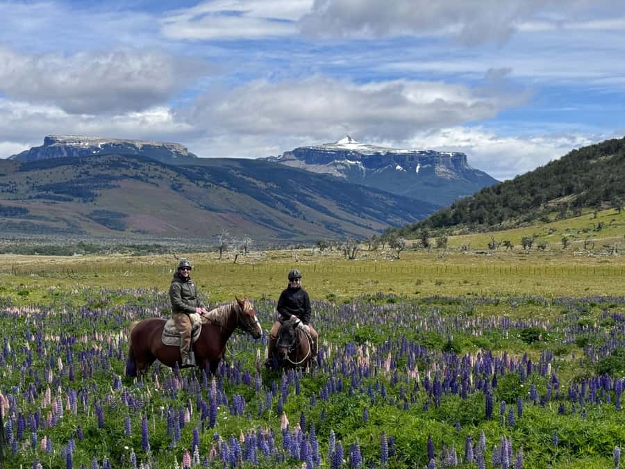 Puerto Natales: Horseback Riding with Horse Connection - Choosing English, huaso, or gaucho tack