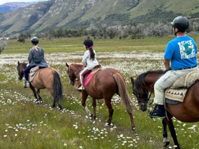 Puerto Natales: Horseback Riding with Horse Connection