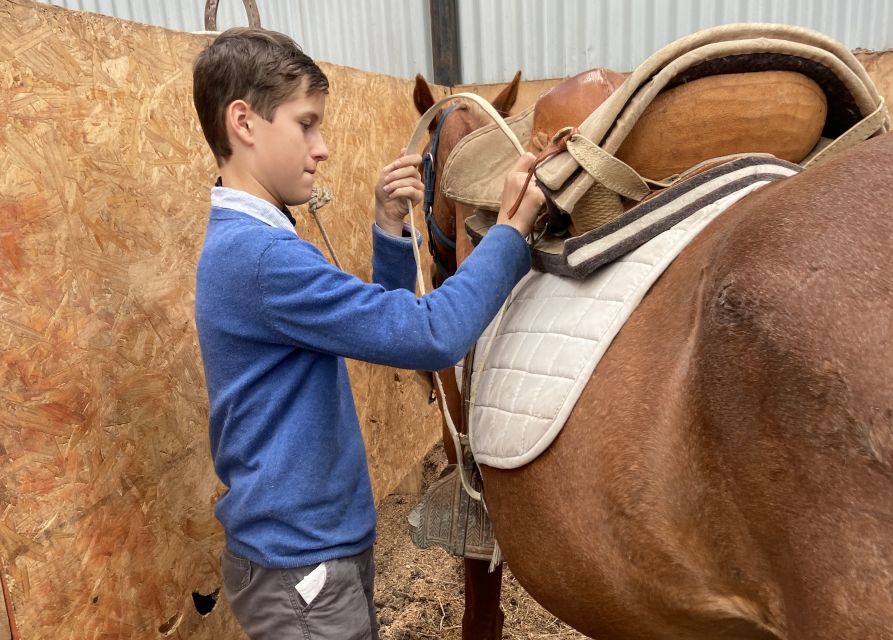 Puerto Natales: Horseback Riding with Horse Connection - Full-day riding through pampa and forest