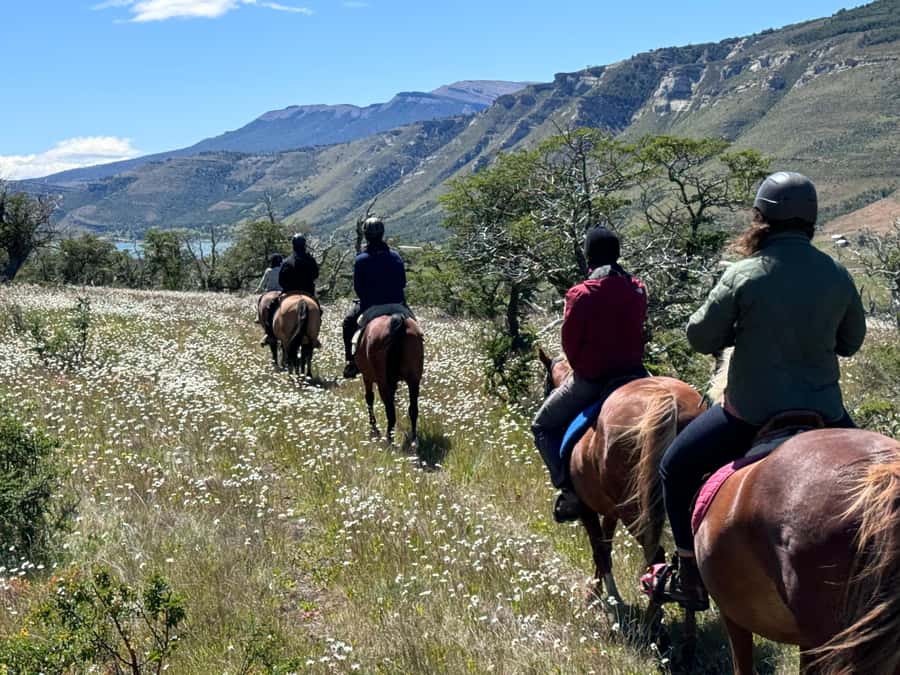 Puerto Natales: Horseback Riding with Horse Connection - The views around Lake Figueroa