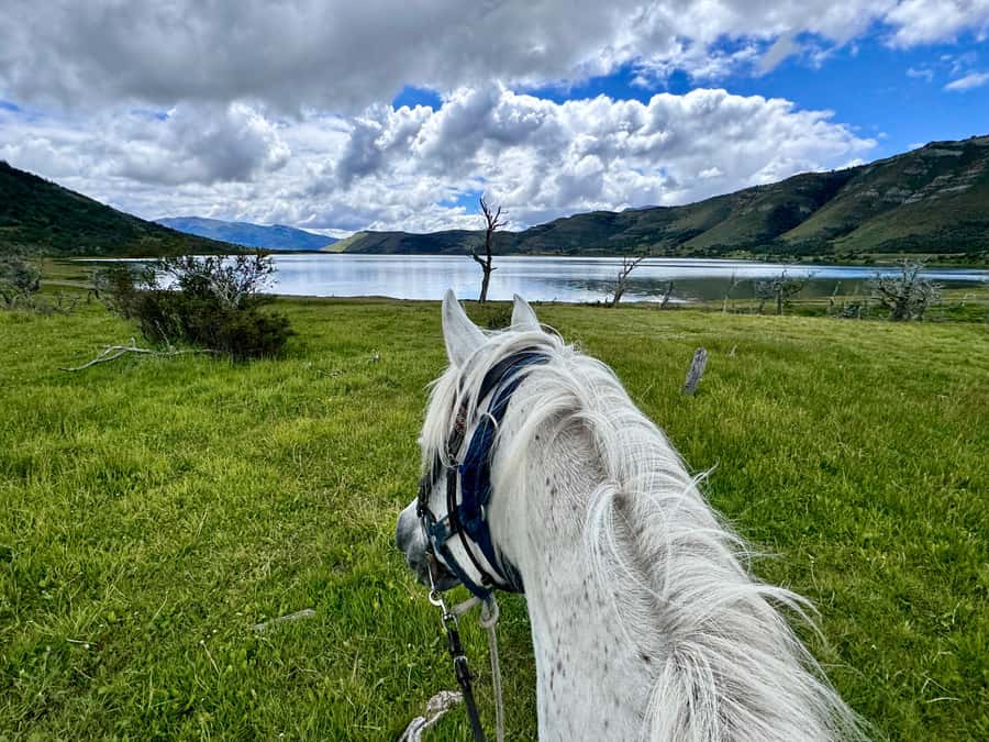 Puerto Natales: Horseback Riding with Horse Connection - What Lynn adds to the day