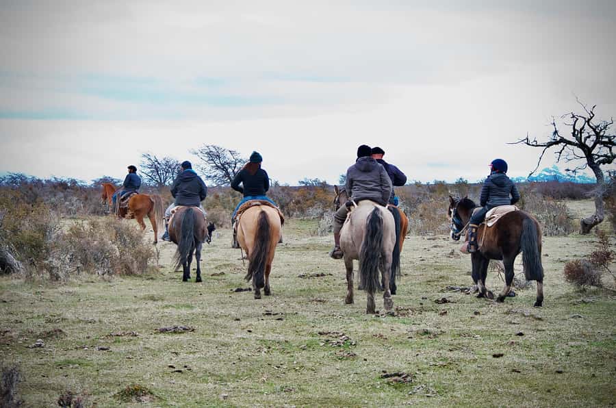 Puerto Natales: Traditional Horseback Riding Experience - Key things to know before booking
