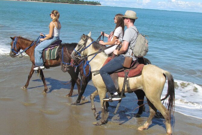 Puerto Plata City Horseback Riding Tour ,Rios,Beaches and Countryside - Coffee, cocoa, and a family farm