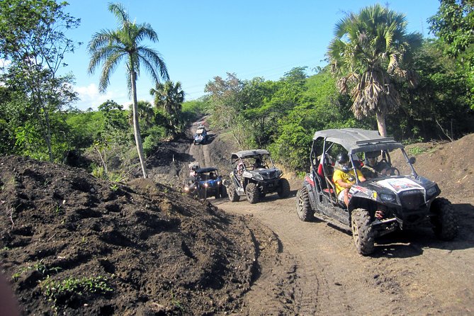 Puerto Plata: Damajagua waterfalls + Safari buggy + Horseback riding (TOP3IN1) - What the ratings suggest about the day
