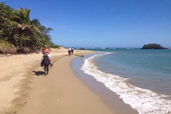 Puerto Plata: Sunset Beach Horseback Riding - From the ranch to Boca Nueva and Bergantin Beach