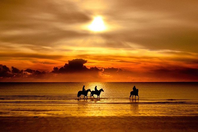 Puerto Plata: Sunset Beach Horseback Riding - Who will enjoy this ride most