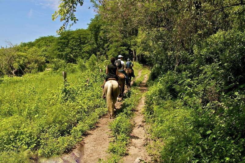 Puerto Vallarta Horseback Riding - A Jalisco tequila tasting to finish