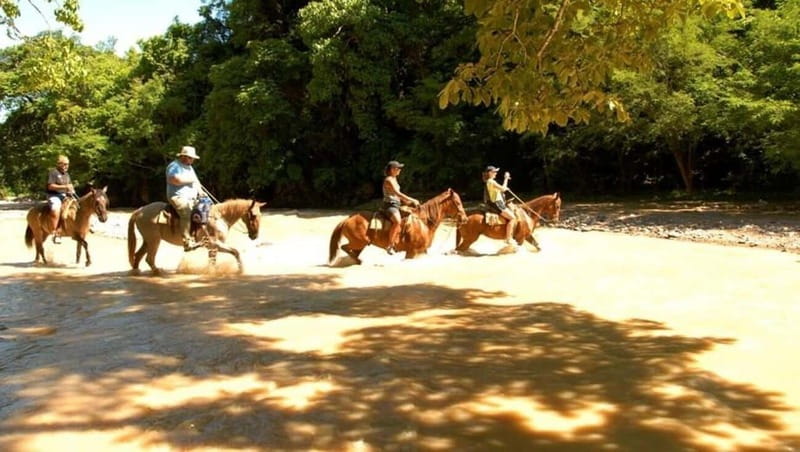 Puerto Vallarta: Horseback Riding at Hacienda Doña Engracia - Leaving Puerto Vallarta Behind at Hacienda Doña Engracia
