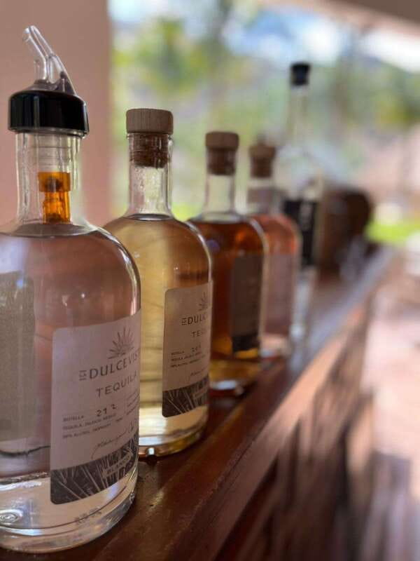 Puerto Vallarta: Horseback Riding at Hacienda Doña Engracia - Choosing a Horse for Your Ability